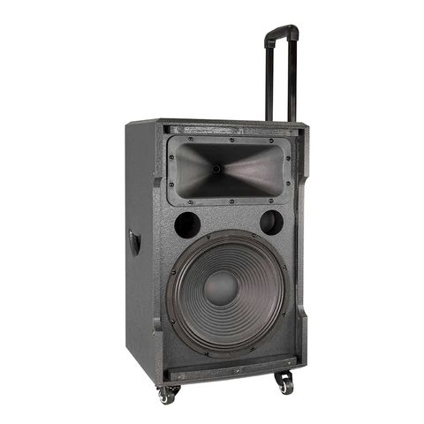  Loa kéo DANLTON TS 12G400X 