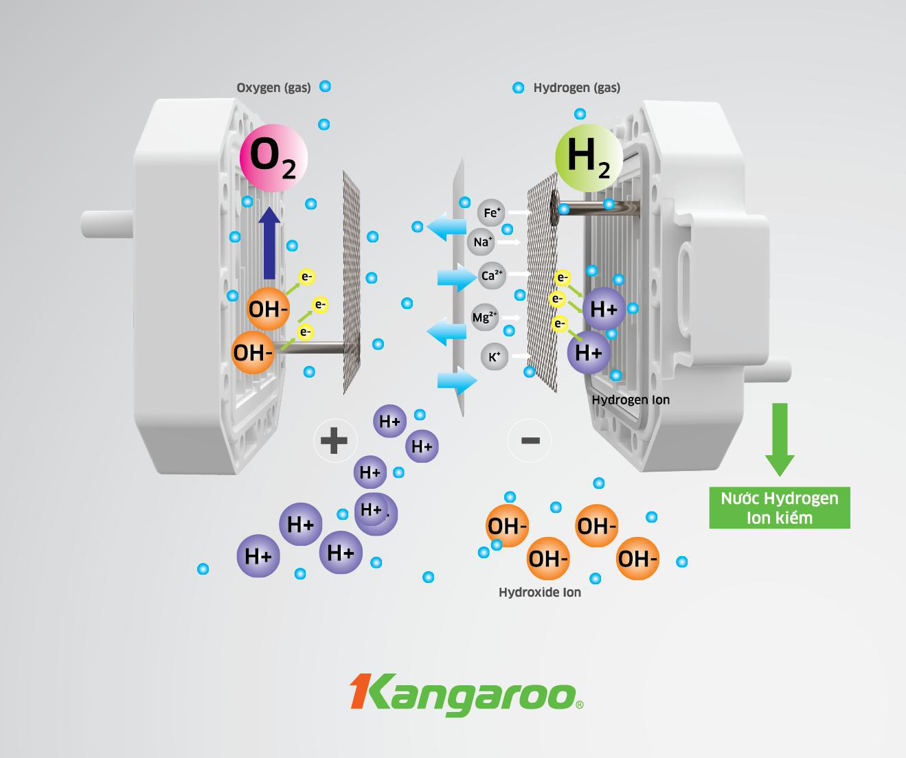 Máy lọc nước Kangaroo Hydrogen ion kiềm KG100EO