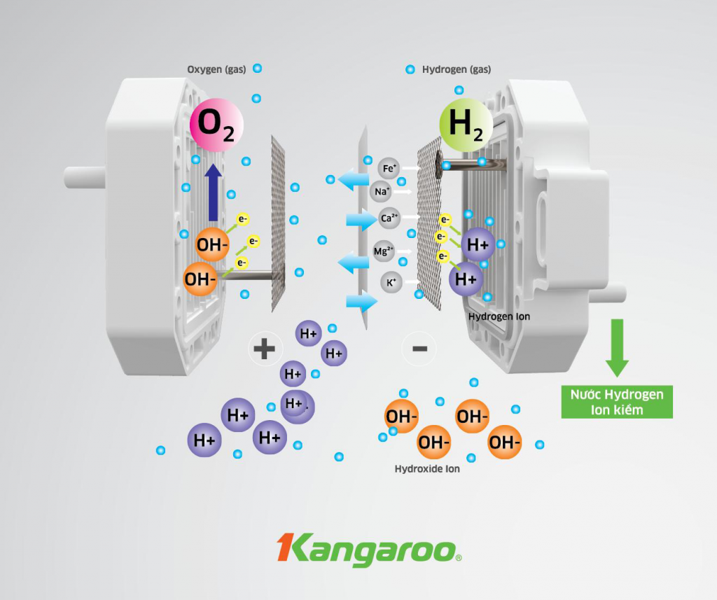 Máy lọc nước Kangaroo Hydrogen ion kiềm KG100MED