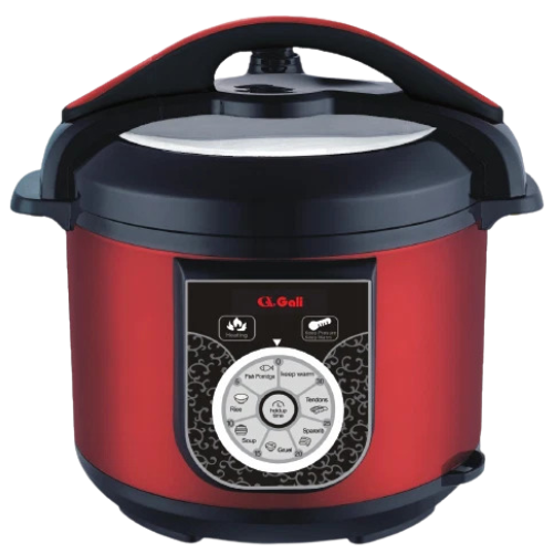  Nồi áp suất điện GALI GL-1625 (6 lít) 
