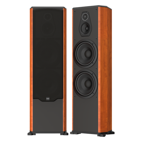  Loa PARAMAX FX-2500 (Calvados) 