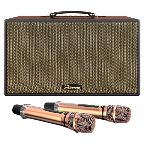  Loa karaoke di động PARAMAX Aura 