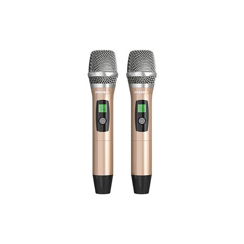  Micro không dây PARAMAX SM-2500 Smart 