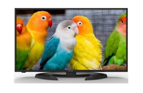 Màn hình 40 inch sắc nét