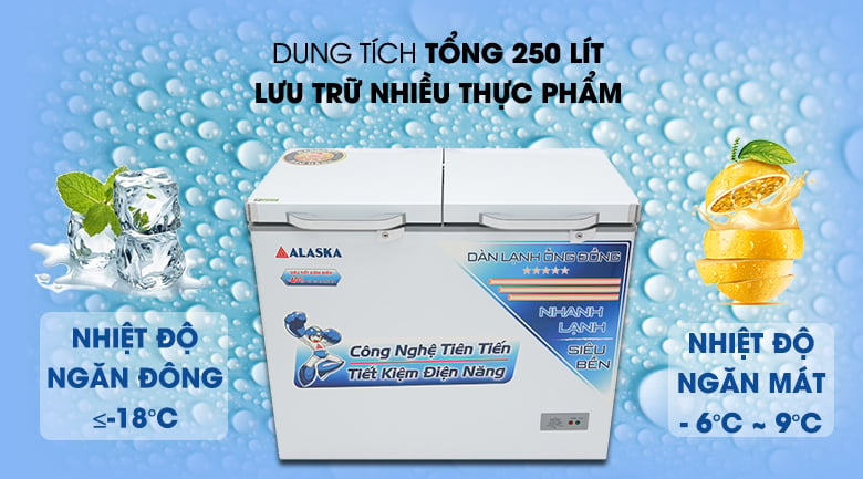 Thiết kế - Tủ đông Alaska 250 lít BCD - 3068C