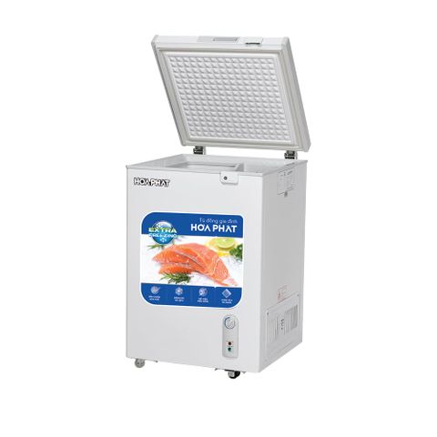 Tủ đông HÒA PHÁT HPF AD6107 (107 Lít) 