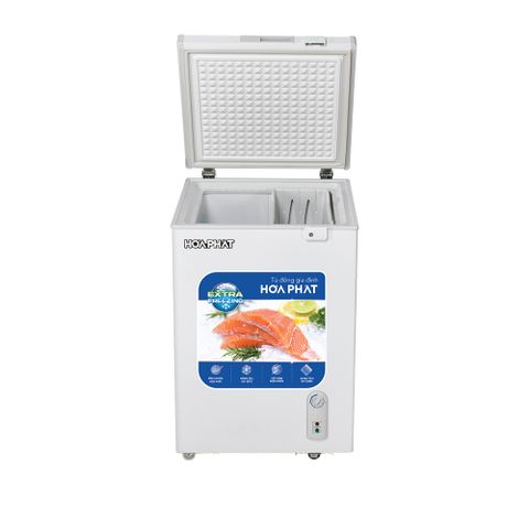  Tủ đông HÒA PHÁT HPF AD6107 (107 Lít) 