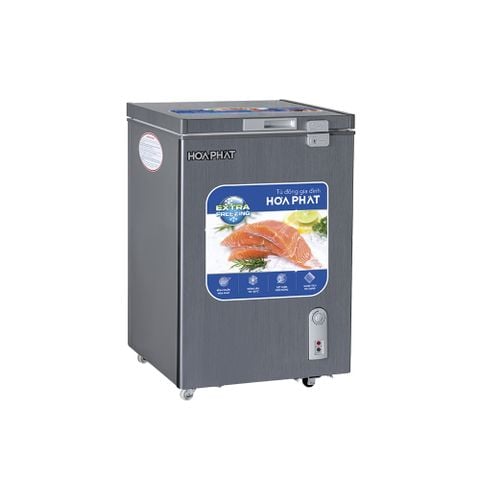  Tủ đông HÒA PHÁT HPF AD6107G (107 Lít) 