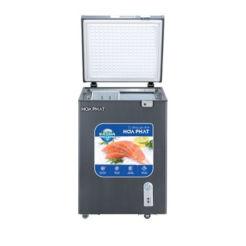  Tủ đông HÒA PHÁT HPF AD6107G (107 Lít) 