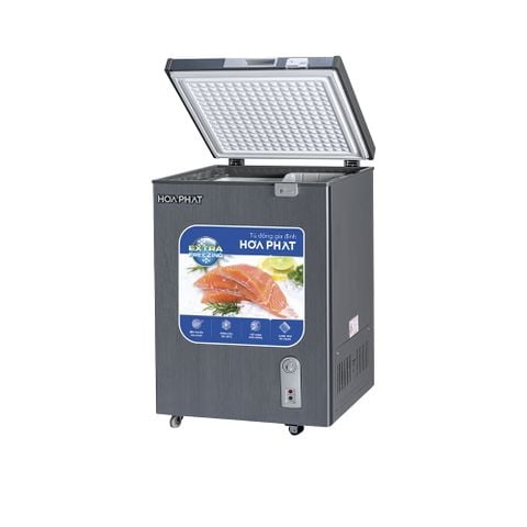  Tủ đông HÒA PHÁT HPF AD6107G (107 Lít) 