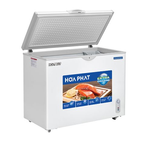  Tủ đông HÒA PHÁT HPF AD6252 (252 Lít) 