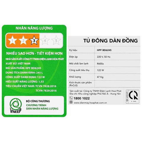  Tủ đông HÒA PHÁT HPF BD6245 (245 Lít) 