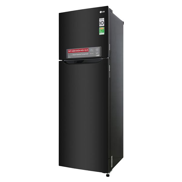  Tủ lạnh LG Inverter 255 lít M255BL 