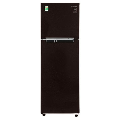  Tủ Lạnh SAMSUNG Inverter 256 Lít RT25M4032BY 