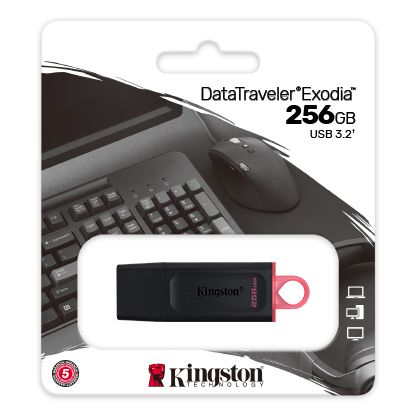  USB Kingston DataTraveler Exodia 256GB - DTX/256GB 