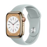 Apple Watch Series 8 Gold Stainless Steel Case with Sport Band 