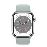  Apple Watch Series 8 Silver Stainless Steel Case with Sport Band 