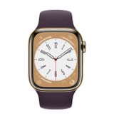  Apple Watch Series 8 Gold Stainless Steel Case with Sport Band 
