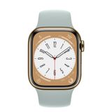  Apple Watch Series 8 Gold Stainless Steel Case with Sport Band 