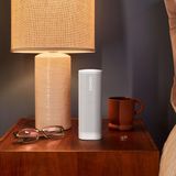 Sonos Roam 2 