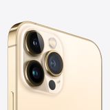  iPhone 13 Pro Max - 2 sim vật lý 
