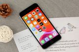  iPhone SE 2022 