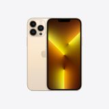  iPhone 13 Pro Max - 2 sim vật lý 