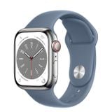  Apple Watch Series 8 Silver Stainless Steel Case with Sport Band 