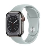  Apple Watch Series 8 Graphite Stainless Steel Case with Sport Band 