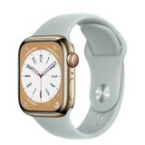  Apple Watch Series 8 Gold Stainless Steel Case with Sport Band 