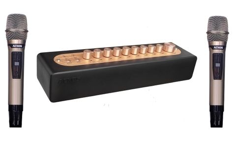 Vang số kèm micro Acnos MI30S