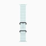  Apple Watch Ultra 2 2024 49mm Titanium Black Ocean Band 