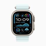  Apple Watch Ultra 2 2024 49mm Titanium Natural Ocean Band 