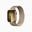 Apple Watch Series 9 GPS + Cellular, Stainless Steel Case 45mm, Milanese Loop
