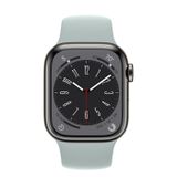  Apple Watch Series 8 Graphite Stainless Steel Case with Sport Band 