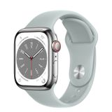  Apple Watch Series 8 Silver Stainless Steel Case with Sport Band 