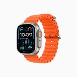  Apple Watch Ultra 2 49mm Titanium Case with Ocean Band 