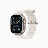  Apple Watch Ultra 2 49mm Titanium Case with Ocean Band 