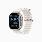  Apple Watch Ultra 2 49mm Titanium Case with Ocean Band 