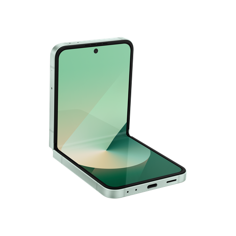 Samsung Galaxy Z Flip6 256GB