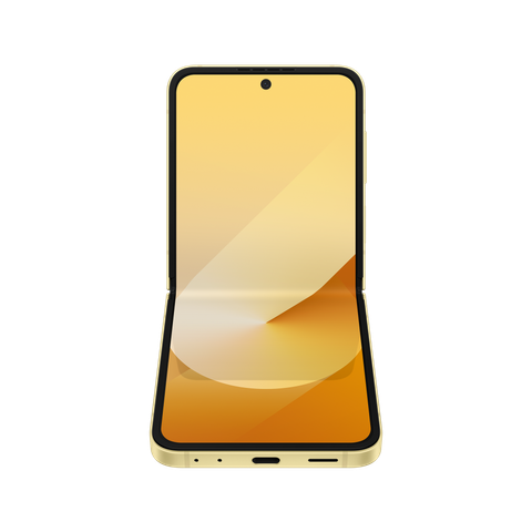 Samsung Galaxy Z Flip6 256GB