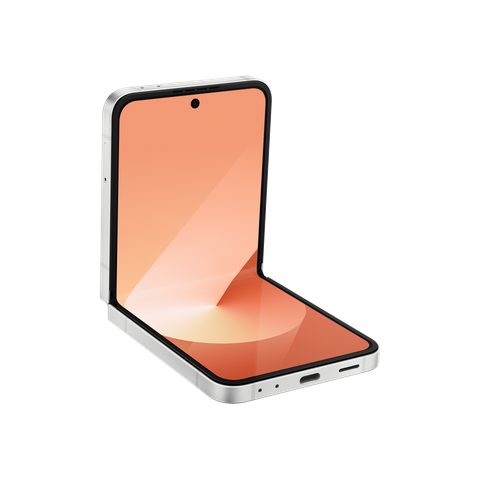 Samsung Galaxy Z Flip6 256GB