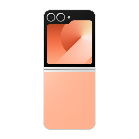 Samsung Galaxy Z Flip6 256GB