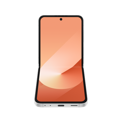 Samsung Galaxy Z Flip6 256GB