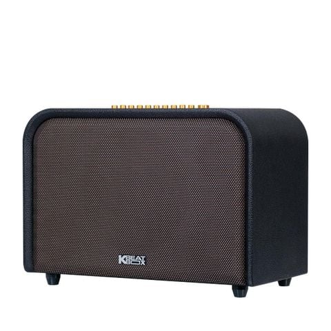  Loa Karaoke Acnos Acoustic 3 