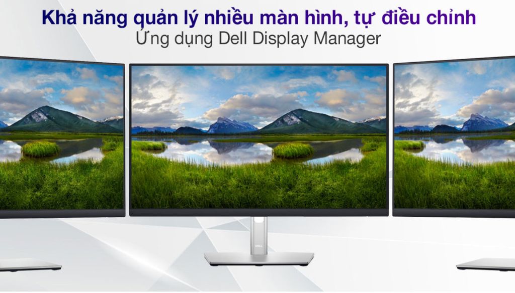Màn hình máy tính Dell P2423DE, 23.8