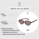  Kính mát Molsion MS3115 dáng oval nhựa acetate chính hãng fullbox 