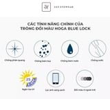  Tròng kính Đổi màu khói / màu nâu Chống tia UV Hoga 1.56 Hàn Quốc SHMC chính hãng 