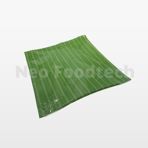 Banana Leaves Plastic