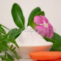 Neoxel 2010 - Stabilizing fermented spring rolls